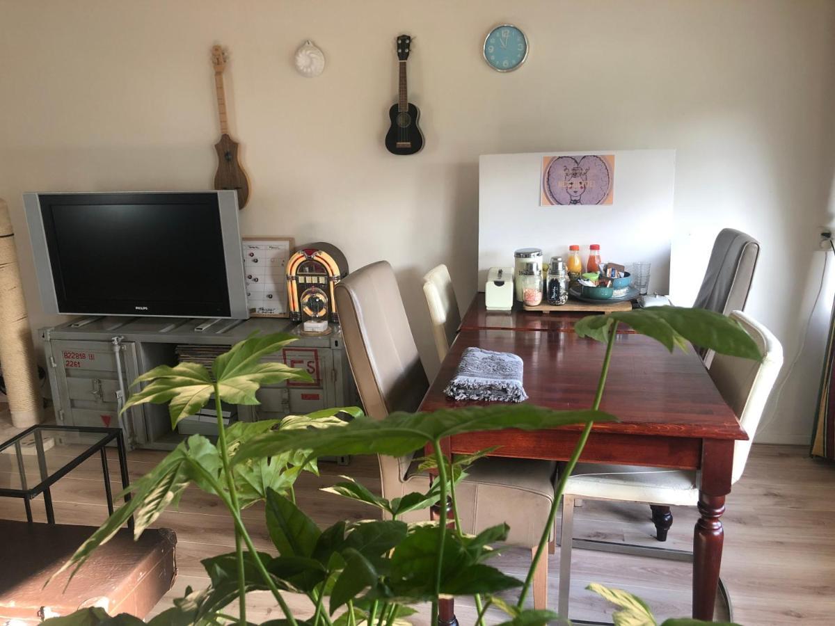 Dreischor De Drei Schorre B&B 외부 사진